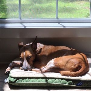 Meet your Posher, Celia